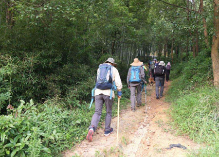 梦见上山是什么意思，女人做梦梦到自己上山