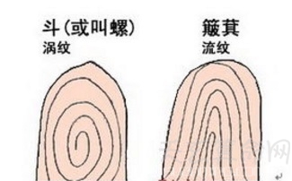 手指上的斗和簸箕代表什么 十斗十簸箕十全十美大富大贵